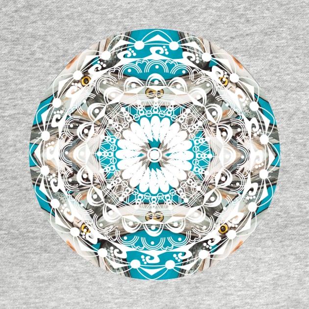 Mandala lace by Petras